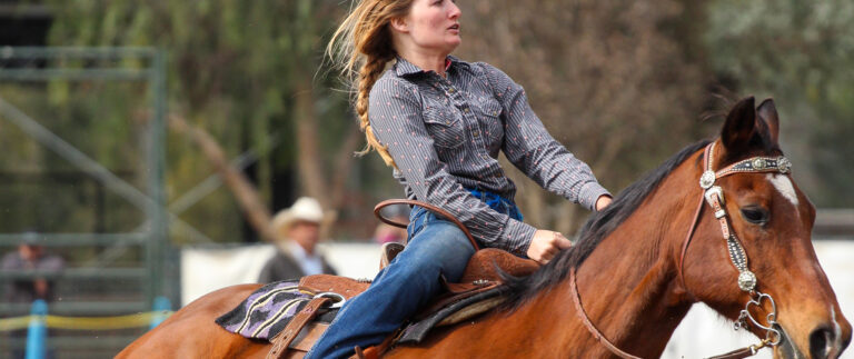 Modern stereotypes & fears of having a horse stable