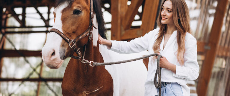 Riding school begins our riding classes