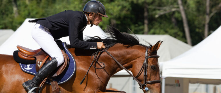 Thoroughbred horse racing sports as a form of art